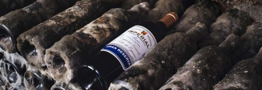 Picture 4 for Activity La Rioja: Guided visit to CVNE Winery and wine tasting