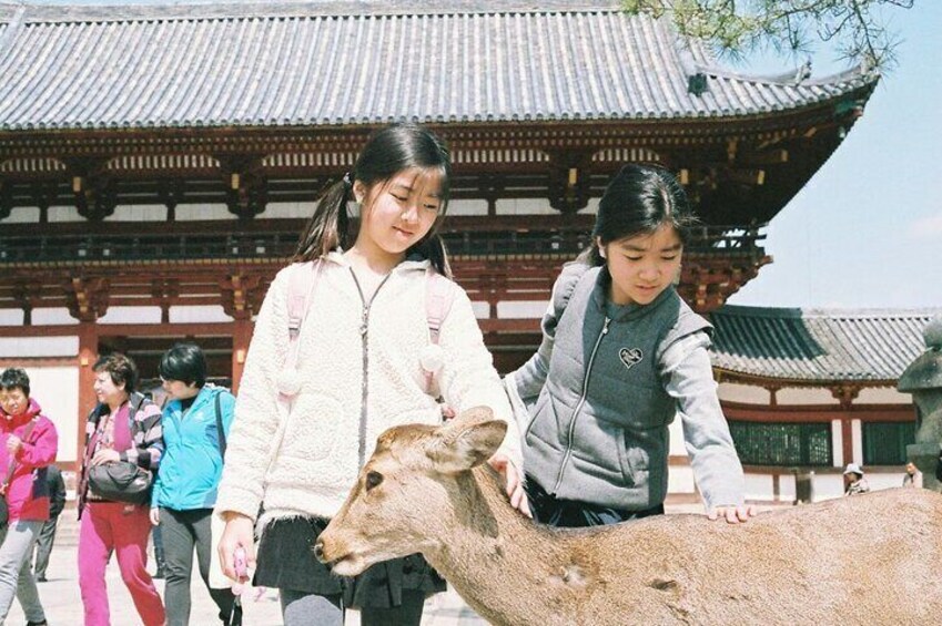 Nara Awaits You For a Perfect Day Tour with Local Guide