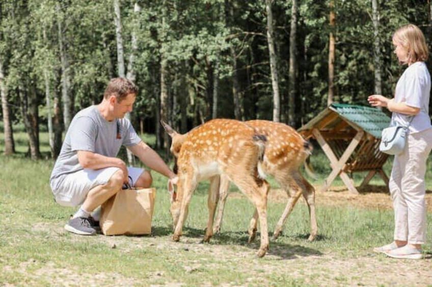 Nara Awaits You For a Perfect Day Tour with Local Guide