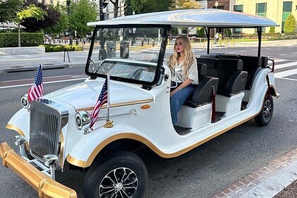 American History and DC Monuments Tour by Vintage Car