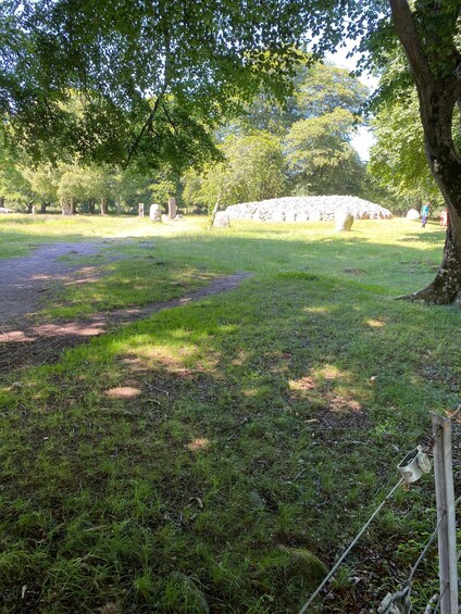 Picture 7 for Activity Loch Ness, Culloden, and Clava Cairns Tour; From Invergordon