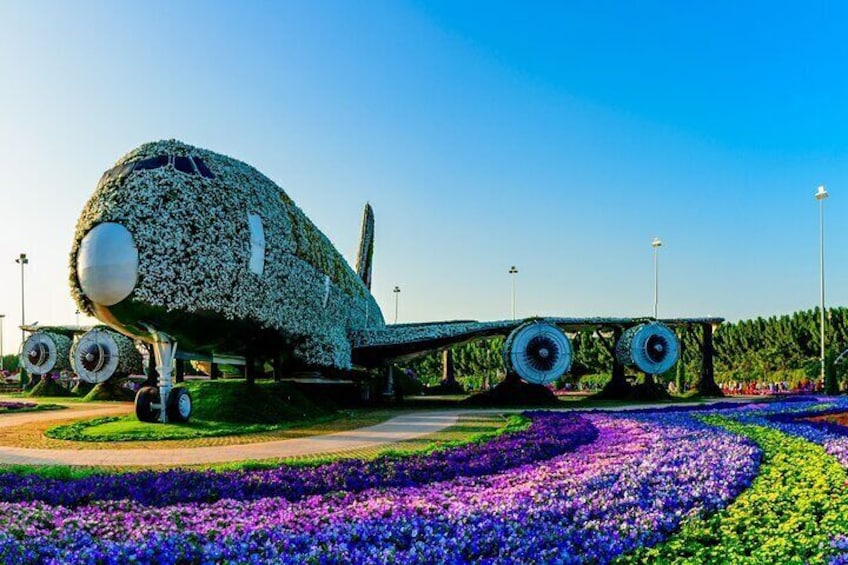 Admission Ticket to Miracle Garden Dubai