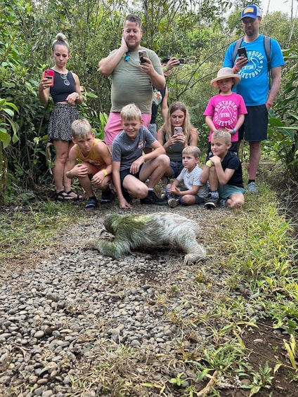 Picture 2 for Activity Guanacaste: Sloth Sanctuary and Waterfall Adventure