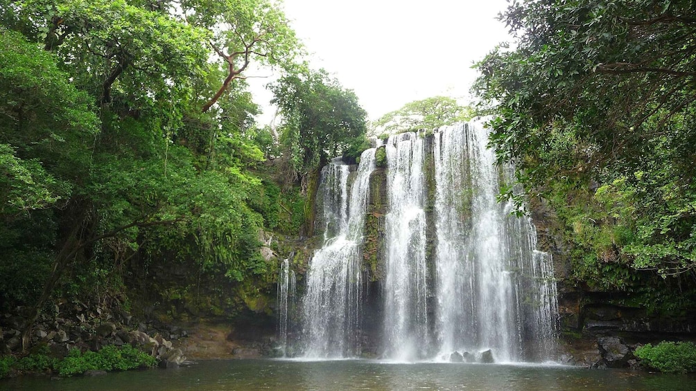 Picture 3 for Activity Guanacaste: Sloth Sanctuary and Waterfall Adventure