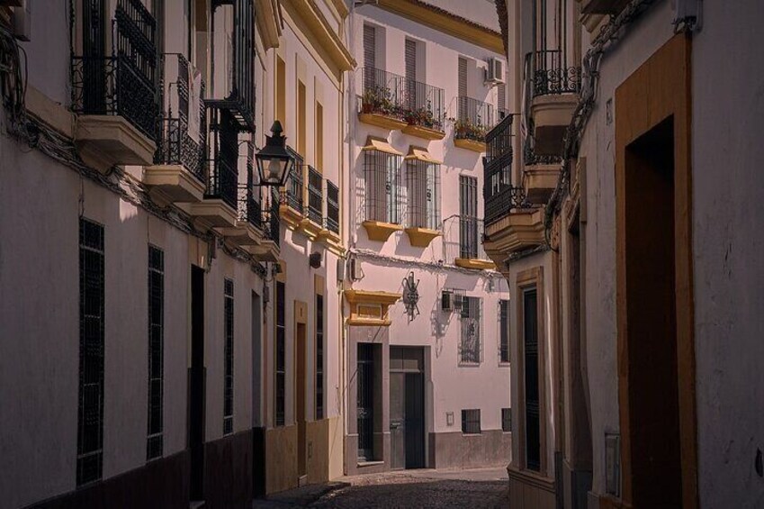 Historic Private Walking Tour in Sagunto 