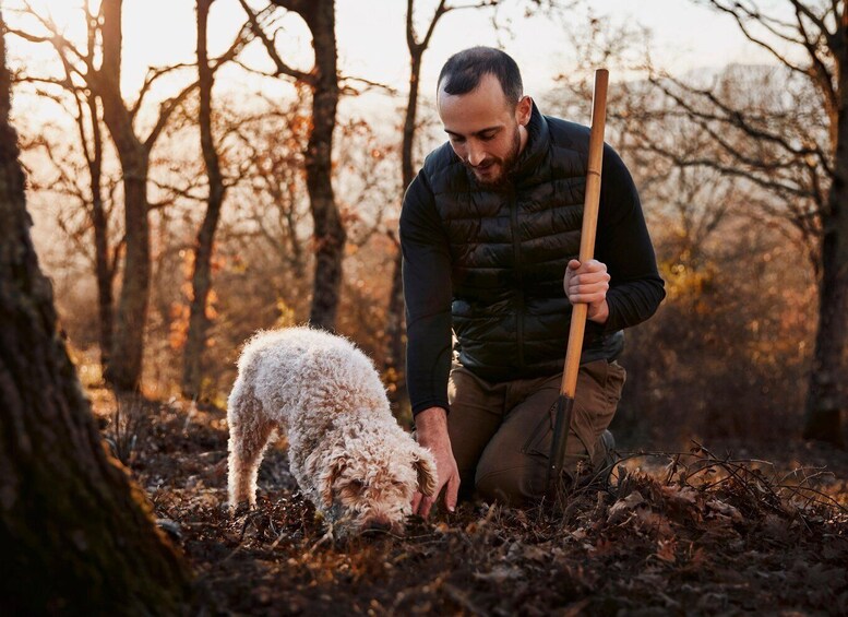 Picture 4 for Activity Rome: Truffle experience in Rome