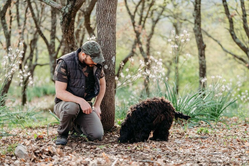 Rome: Truffle experience in Rome