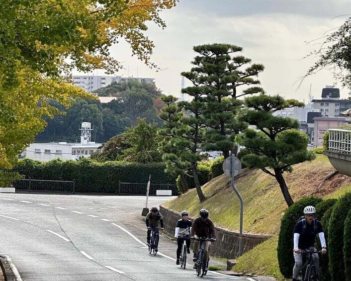 Picture 3 for Activity Himeji: E-Bike Tour of the Old Town and Himeji Castle