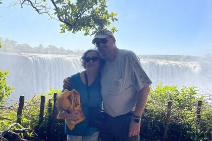 與當地導遊一起徒步遊覽維多利亞瀑布 