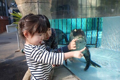 Shizuoka: Atagawa Tropical & Alligator Garden Entrance