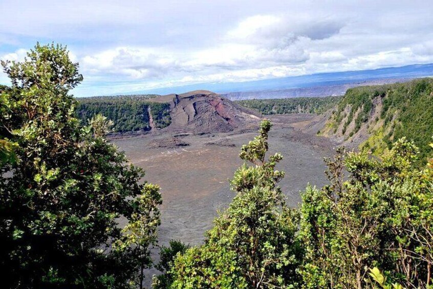 Hilo and Volcano National Park Tour a Cruise Ship Excursion