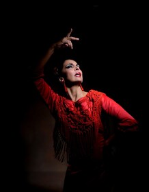 Granada: Show "Sensaciones" Flamenco Theatre Granada