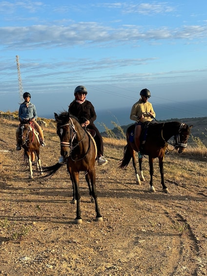 Picture 18 for Activity Romantic Experience with horses in the Natural Reserve WWF