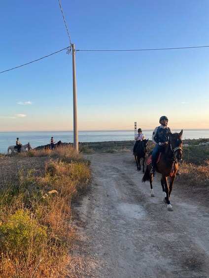 Picture 10 for Activity Romantic Experience with horses in the Natural Reserve WWF