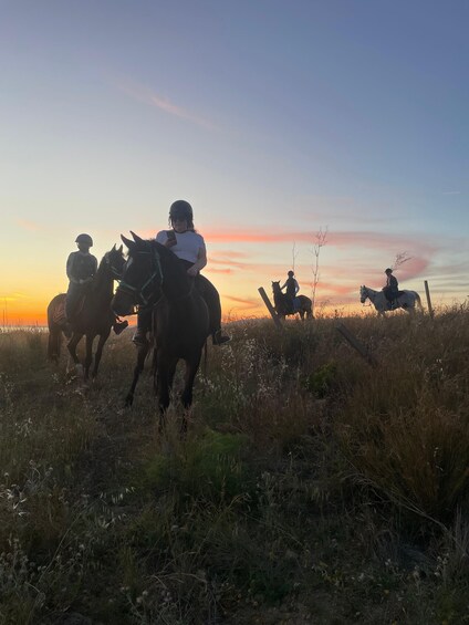 Picture 15 for Activity Romantic Experience with horses in the Natural Reserve WWF