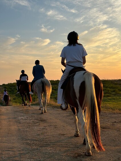 Picture 28 for Activity Romantic Experience with horses in the Natural Reserve WWF