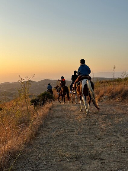 Picture 23 for Activity Romantic Experience with horses in the Natural Reserve WWF
