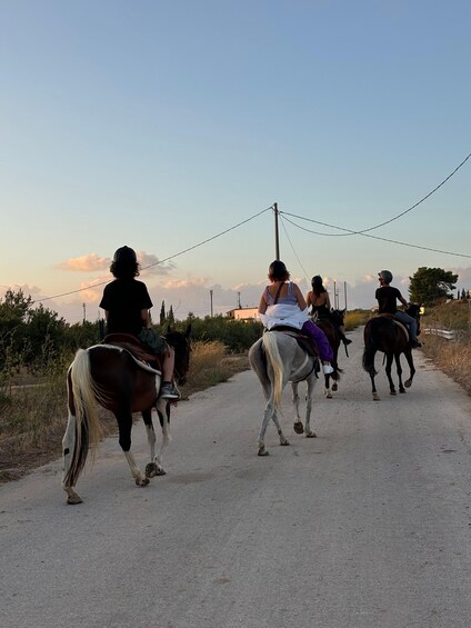 Picture 17 for Activity Romantic Experience with horses in the Natural Reserve WWF