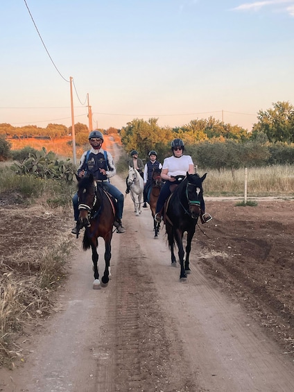 Picture 8 for Activity Romantic Experience with horses in the Natural Reserve WWF