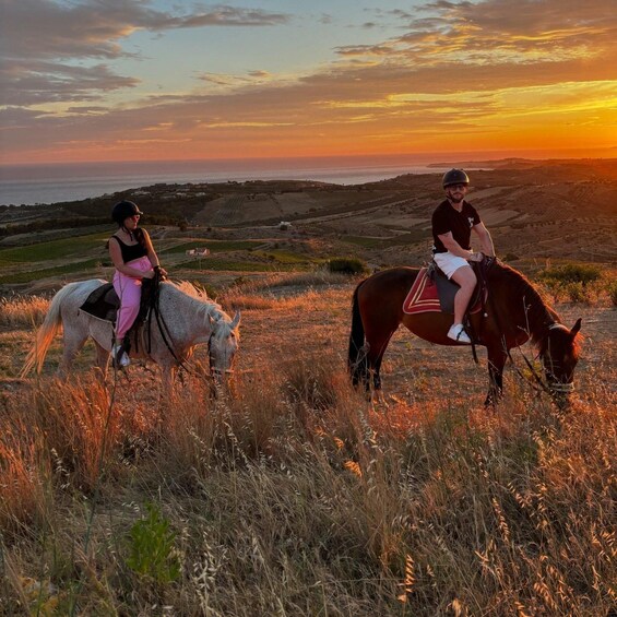 Picture 4 for Activity Romantic Experience with horses in the Natural Reserve WWF