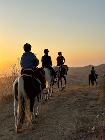 Romantic Experience with horses in the Natural Reserve WWF