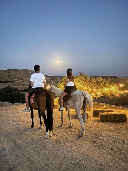 Picture 3 for Activity Romantic Experience with horses in the Natural Reserve WWF