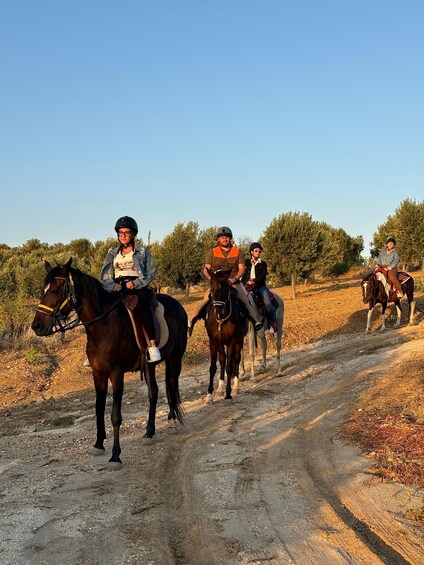 Picture 22 for Activity Romantic Experience with horses in the Natural Reserve WWF
