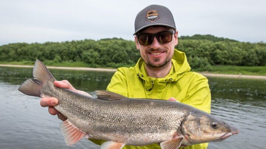 Private Hokkaido Fishing Tour with a Licensed Fisherman