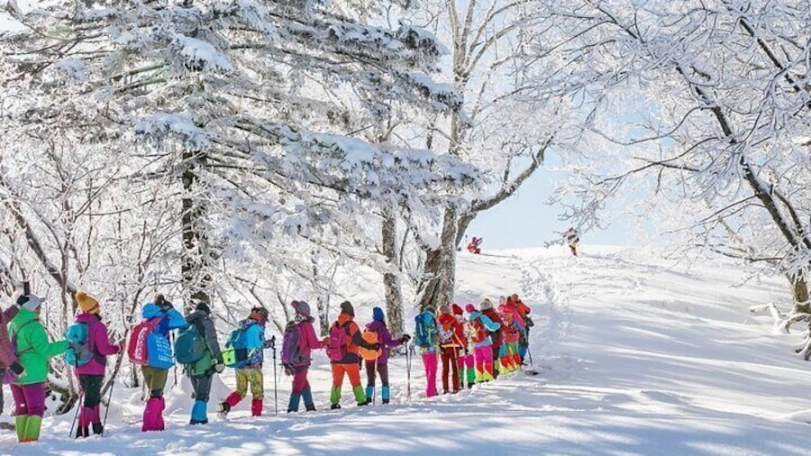 snow valley trekking to snow town