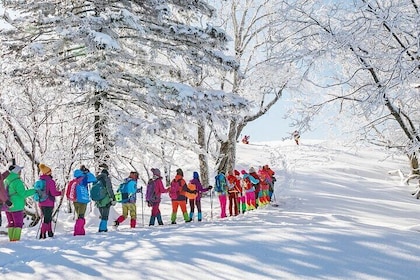 3-Day Private Trip To China Snow Town from Harbin with Hotel Accommodation