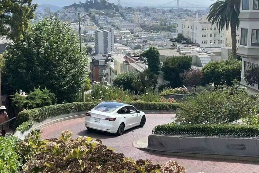 San Francisco Private Sightseeing Tour with Daily Chauffeur