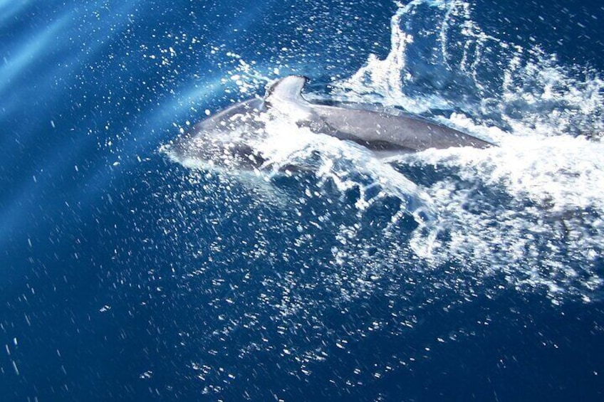 Sunrise or Sunset Tour on the Tahiti Lagoon