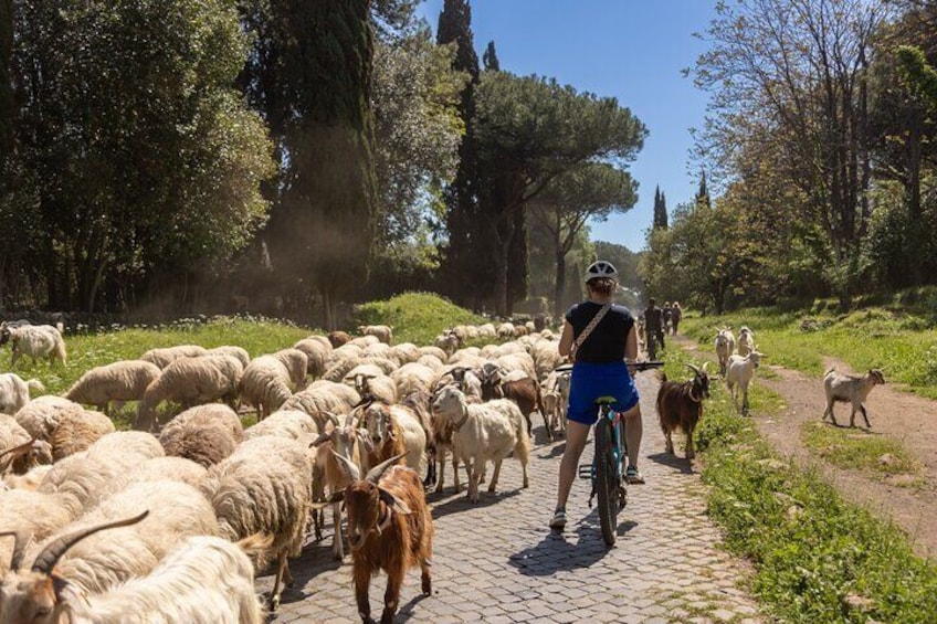 Appian Way and Aqueducts Biking Guided Tour