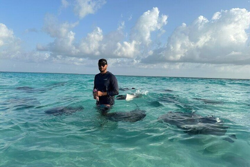 Stingray City 