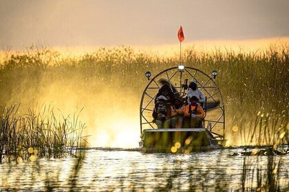 Airboat Tours Private River Cruises Guided Fishing Snorkelling