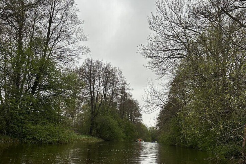 Private Kayaking Experience in Fyris Lake 