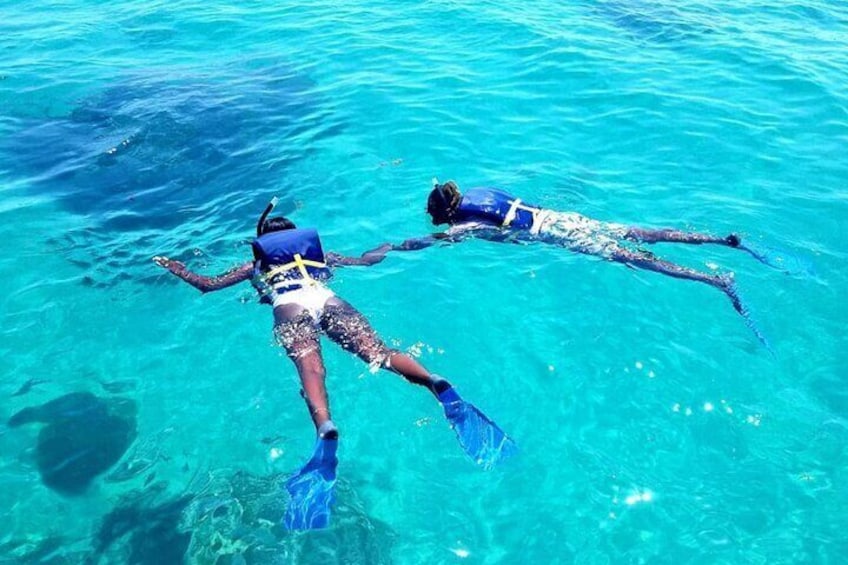 Original Snorkel and Sandbar Combo in Islamorada