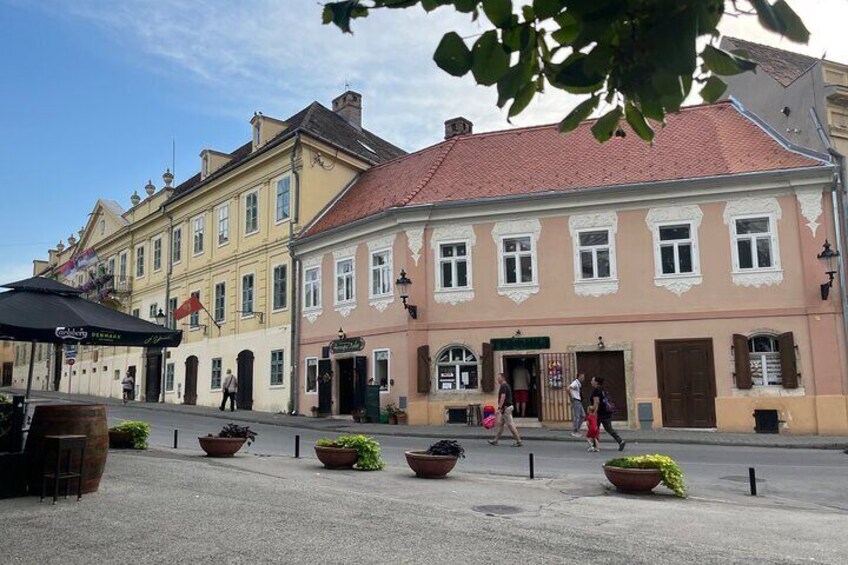 Sremski Karlovci Tour A Journey Through Vineyards and Winery 