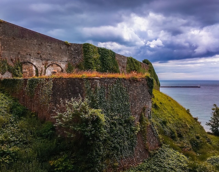 Kent Garden of England in Private Vehicle Tour including Passes