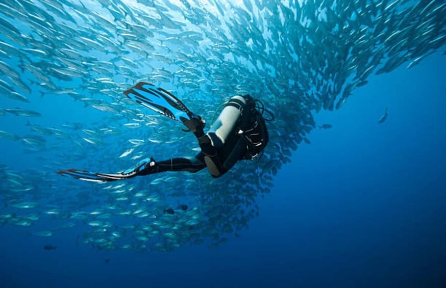 Picture 7 for Activity Goa: Scuba Diving Combo Package in Grand Island