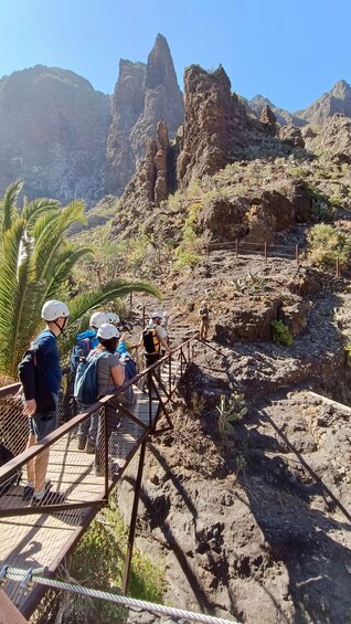 Picture 4 for Activity Tenerife : Masca ravine: Descent & boat trip