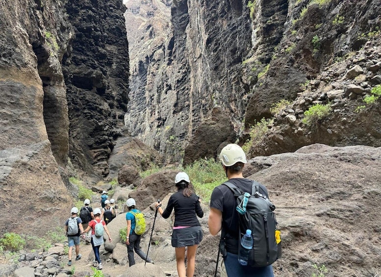 Picture 3 for Activity Tenerife : Masca ravine: Descent & boat trip