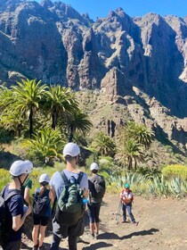 Tenerife : Masca ravine: Descent & boat trip