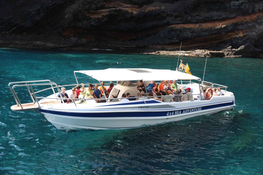 Picture 2 for Activity Los Gigantes: Whale-watching cruise or dolphin tour and swimming in Masca