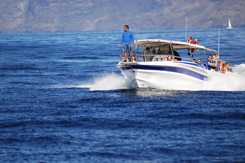 Picture 1 for Activity Los Gigantes: Whale-watching cruise or dolphin tour and swimming in Masca