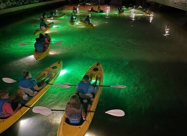 St. Pete Beach: Glass Bottom Kayak Fish Feeding Night Tour