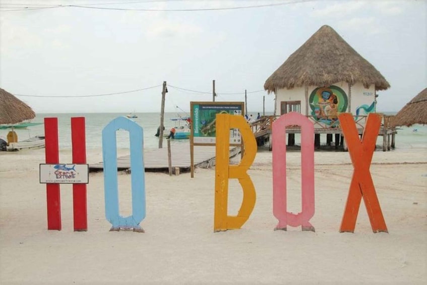 Picture 3 for Activity Cancun: Holbox Island Birdwatching and Wildlife Adventure