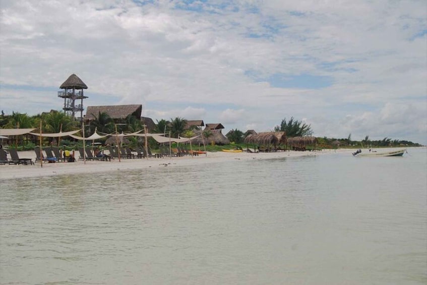 Picture 2 for Activity Cancun: Holbox Island Birdwatching and Wildlife Adventure