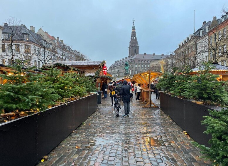 Picture 4 for Activity E-Bike Tour: Copenhagen Christmas Adventure