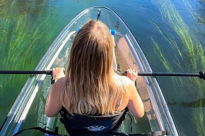 Clear Kayak Day Adventure Tour in San Marcos